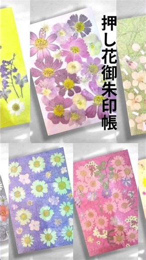 コスモスの押し花御朱印帳作りました#御朱印で#押し花#若林佳子