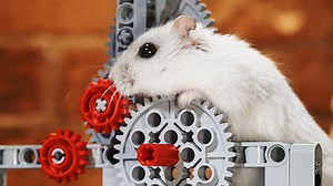 One 🐹 HP Lego Motor - Is It Possible? #lego #asmr #experiment #moc #hamster | Dr. Engine