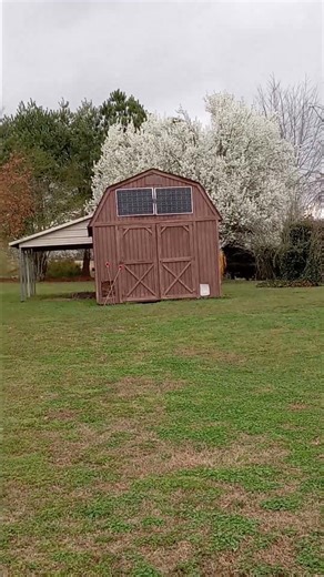 The tree says its spring