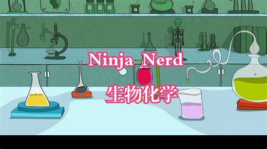 Ninja Nerd《生物化学|Biochemistry》中英字幕（deepseek-R1