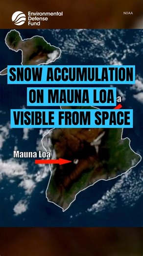 🌋 ➡️ 🏔️ Snow accumulation at the summit of Mauna Loa, an active volcano on the Island of Hawaii, was visible from a satellite early on Wednesday, January 7. Snow could also be seem atop the dormant Mauna Kea volcano, according to the Cooperative Institute for Research in the Atmosphere at Colorado State University (CIRA). On Sunday, the National Weather Service (NWS) reported that “deep moisture” was being drawn from the south ahead of a “developing cold core kona low” that would produce “peri