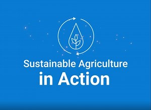 𝗟𝗲𝘀𝘀 𝗶𝘀 𝗺𝗼𝗿𝗲, 𝘄𝗮𝘆 𝗺𝗼𝗿𝗲... Rice grown with drip irrigation consumes 70% less water, diminishes methane emissions to almost zero, and reduces arsenic uptake by up to 90%. And it produces higher income than conventional paddy-grown rice. This is sustainable agriculture in action: more profitable rice for growers, healthier rice for consumers, and by far, less negative impact to our planet. | Netafim
