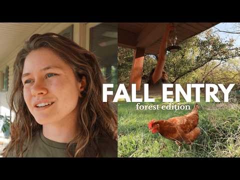 Fall Days in the Forest | Log 2