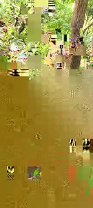 Funny monkey drinking water #reels #monkey #animals | Daily Interesting Stories