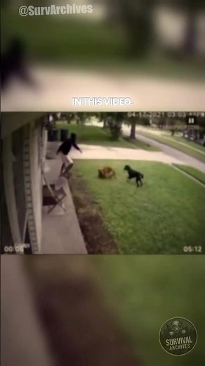 Your Leash Won't Save Your Dog From Coyotes