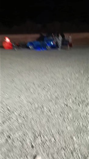 Trick or Treat! | Tara Reed