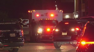 Sea World trainer tried to escape from killer whale before she drowned