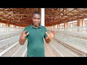 How to Fully Install Battery Cages for Layers - Poultry Egg Production