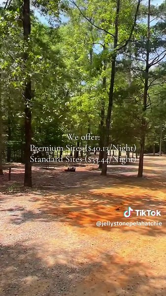 Explore Jellystone Park™: Nature's Camping Paradise