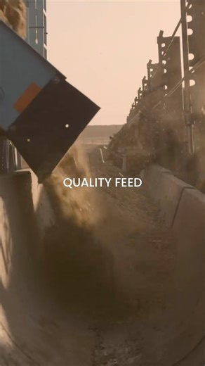 What’s on their menu? 🌾🍅🥔🥬 The finest blend of Midwest corn, forage hay, and specially formulated minerals is adjusted based on the cattle’s stage in life. Feed delivery and distribution are critical for proper cattle feeding at Harris Ranch. Cattle eat at the same time daily and in the same spot on the bunk line. We receive 40 trucks of corn A DAY to feed our cattle, 7 days a week! Each truckload weighs nearly 25 tons. That’s 2 million pounds daily, making 14 million pounds a week! #cattlef