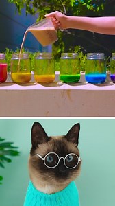 65K views · 366 reactions | Meow!  Cat Testing a Crazy Science Experiment!  | Meow-some | Facebook