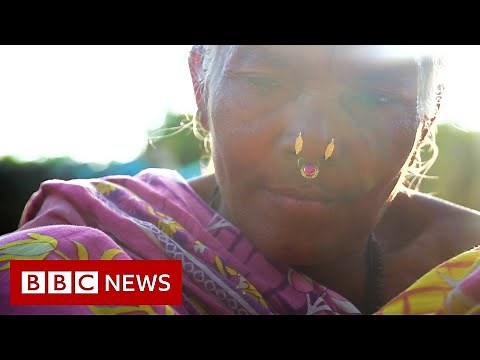 Saving India's traditional rice varieties - BBC News