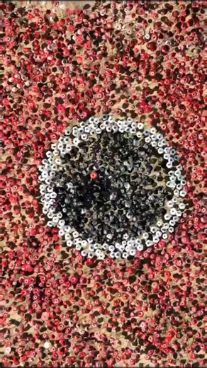 עובדות ועובדי קבוצת סלקום מחבקים את העוטף 💜 ארגון העובדים יחד עם איגוד עובדי הסלולר, קיימו היום את הסיור השני והמרגש ביישובים שמקיפים את רצועת עזה. הסיור החל בנתיב העשרה, משם נסענו לשדרות לביקור בתחנת המשטרה. לאחר מכן, הגענו לתקומה, מגרש המכוניות השרופות, חניון רעים, “הנובה” ולקיבוץ בארי. כאבנו יחד את הסיפורים והמראות שלנצח יישארו קשים לכולנו. בו בזמן הרגשנו את התקומה האדירה והכוח של עם ישראל. אנו מודים לכל העובדות והעובדים שיצאו לסיורים. מאחלים שתמיד נדע שקט ואושר במדינתנו מעתה ועד עולם. מוזמנ