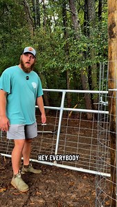 35K views · 8.7K reactions | This is going to be a never ending series #homestead #foilhatgang #relatable #pigs #pigsofinstagram | B&R Homestead | Facebook