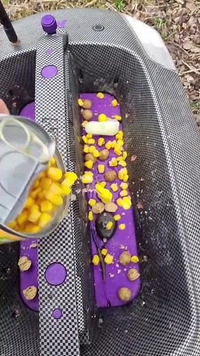 Very minimal in winter trying to nick a bite! #carp #carpfishinguk #carpy #carptok #angling #anglers #catchandrelease #winter #fyp #foryoupage #fishing #wolf #wolfint #nutrabaits #subcarp #fish #carbonbaits