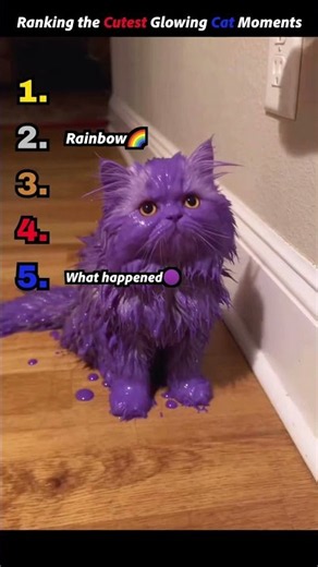 RANK THESE WITH ME 🤔- The Cutest Glowing Cat Moments