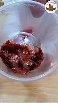 Shellac: How to Prepare and Store It? Portions and Tips for Using This Natural Material - Luis Lovon