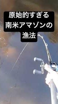 力ずくで魚を手に入れるアマゾン川の漁師