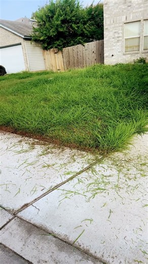 LawnPro Cut Tall Front Lawn (before) #lawncare #lawnmaintence #lawnservice