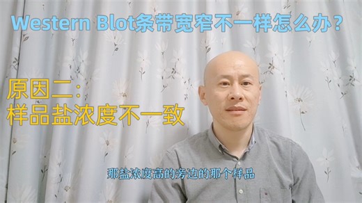 Western Blot条带宽窄不一怎么办？