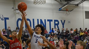 All-Washington County boys basketball: Yarbrough sets high standards for Wildcats