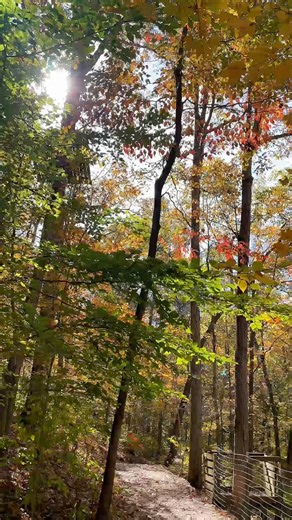 POV: You visit Squire Boone Caverns in late October 🧡❤️💚💛🤎 squireboonecaverns.com 🎶: Colors - Black Pumas | Squire Boone Caverns
