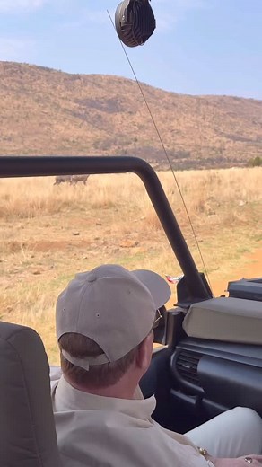 Pilanesberg National Park, South Africa 🇿🇦 #pilanesberg #safaris #traveladventures #leopards #elephant | Ulrich Oehmen