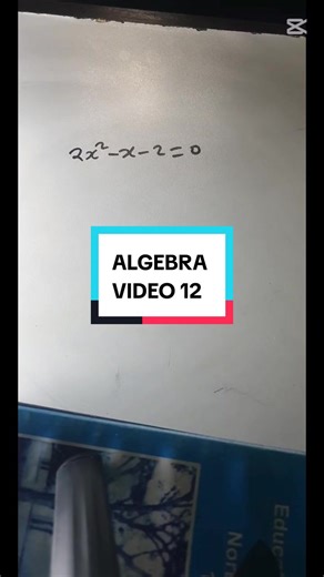 Exploring Algebra Concepts with Professor Chana