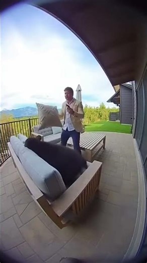 Bear Cub Crashes Luxury Backyard—Man’s Priceless Reaction! 🐻😂