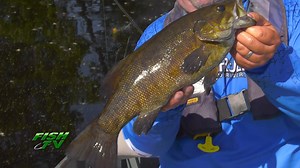 20 reactions · 3 comments | FISH TV is up in northern Ontario at Lost Lake Wilderness Lodge for some back lake non-stop Smallmouth Bass action. Watch it all tomorrow morning on Global 9:30 am https://www.lostlakelodge.com/ #fishtv | FISH TV | Facebook