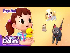 🐶Dálimi with the animals🐱60min🍼Cartoons🎶 DoReMi Dálimi🌜Full episodes