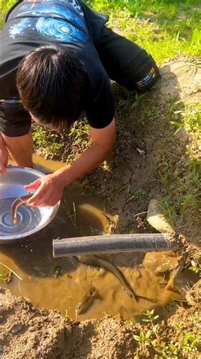 Crazy Mud Fishing Catch 😱 | Village Style Hand Fishing in Small Canal 🐟🔥
