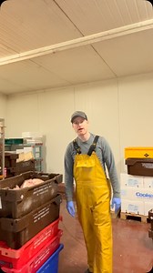 Trying Cod Roe for the first time 🍽️🐟 | Molloy's Fish Killybegs