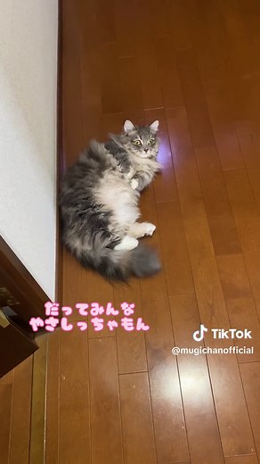 むぎの福岡帰省と博多弁の魅力