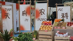 四川省农业科学院发布85项重大科技成果_@所有人_澎湃新闻-The Paper