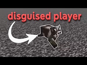 ABUSING ADMIN in this minecraft server (part 2)