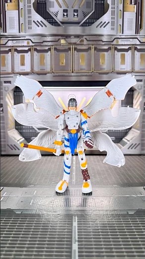 Patamon Digivolve to Angemon!!