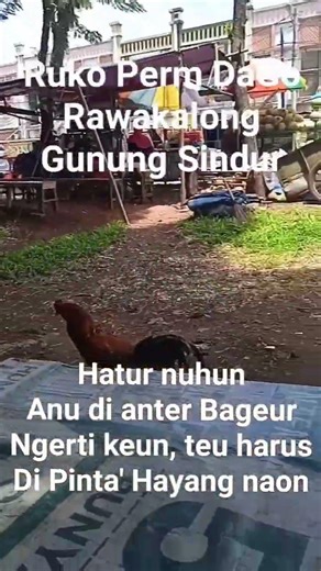 BREAK REAST AREA RUKO DAGO GUNUNG SINDUR BOGOR