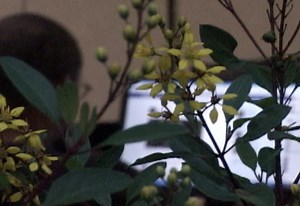 Guia de carreiras: engenharia ambiental