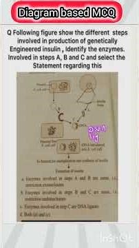 Biotechnology and its Applications ll NEET ll Expected diagram based MCQ