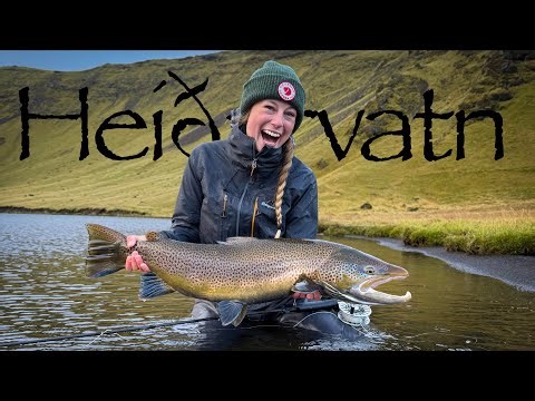 Our Best Trout Fishing EVER | Heiðarvatn, Iceland 🇮🇸