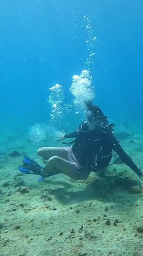 Scuba Diving Adventures: Explore Vibrant Coral Reefs