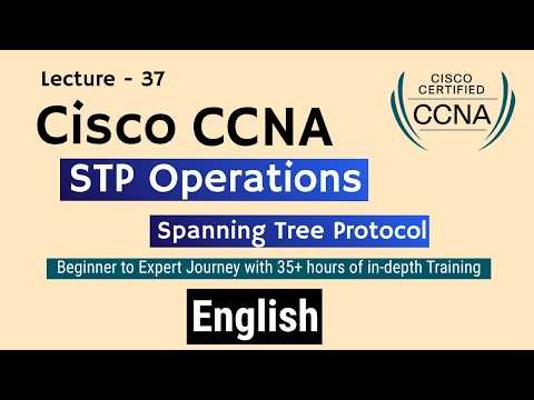 Spanning Tree Protocol - STP Operations explained in simple English | CCNA Networking | Lecture - 37