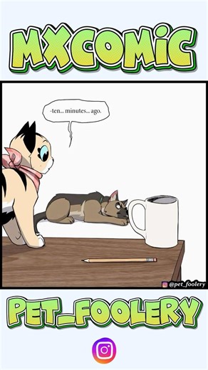 Pixie & Brutus | The Cup Instinct 😂 | Pet Foolery | Funny Comics DUB #comicdub #comics #comedy