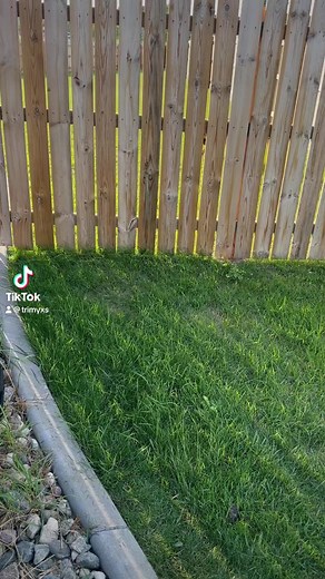 1.5K views · 13 reactions | Trimming the landscape and fence line with Trimyxs! #trimyxs #fyp #viraltiktok #grasstok | Trimyxs - Trimmer & Edger Mower Attachment | Facebook