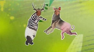 Lunchables Chicken Popper Kabobbles TV Spot, 'Disney XD: Animal Mashups'