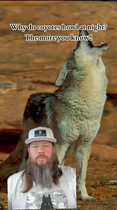 #greenscreen #apexpredatoroutfitters #themoreyouknow | Apex Predator Outfitters