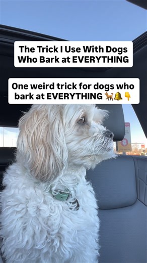 How To Train Your Dog | Dog Training Tips on Instagram: "When a dog reacts to every sound, they’ve developed a habit loop. The trick isn’t to punish it — it’s to repattern it. 🐾 The “Sound Desensitize Loop”: Play soft doorbell/noise sounds during calm moments. Reward every quiet reaction. Never reward the excited ones. This rewires the reaction over time — fast. 👉 Comment “BARK” and I’ll send you the link to see how ESEE 2.0 breaks barking habits the right way."