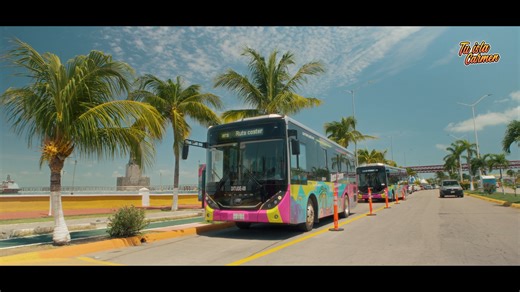 🌴 Descubre Ciudad del Carmen 🌅 ¡Acompáñanos a recorrer algunos de los rincones más representativos de nuestra hermosa isla! 🚶‍♂️ Desde el malecón del centro, con su vista al mar y brisa inigualable... 🕊️ Hasta la imponente Estela Maris, símbolo de fe para los carmelitas y guía de los pescadores. 🌳 Paseamos por el tradicional Parque Ignacio Zaragoza, punto de encuentro de generaciones... 🙏 Visitamos el Santuario Diocesano Mariano, hogar de la Virgen del Carmen, patrona de los marineros. 🌉 