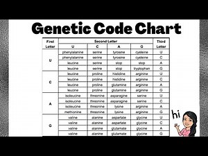 mRNA Translation| Genetic Code Chart| Grade 12 Gen Biology 2 Tagalog